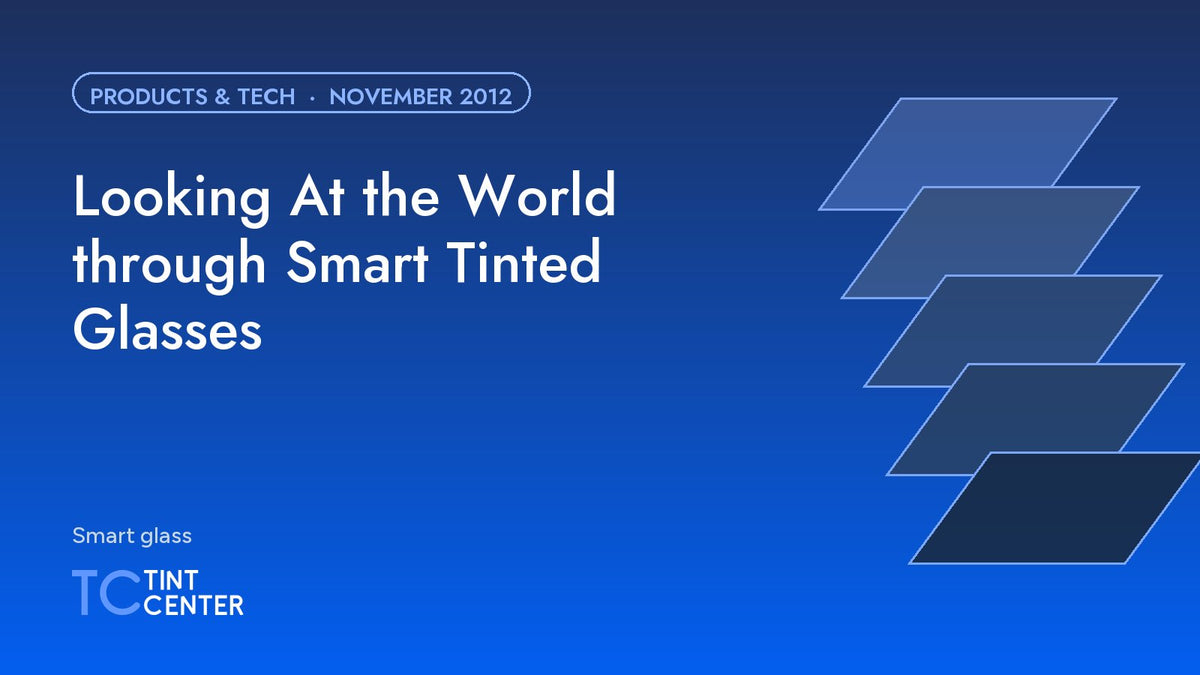 Looking At the World through Smart Tinted Glasses