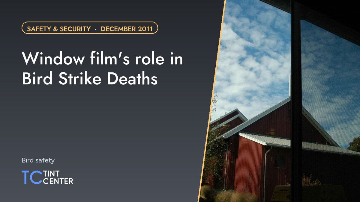 Window film's role in Bird Strike Deaths